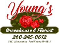 Youngs-